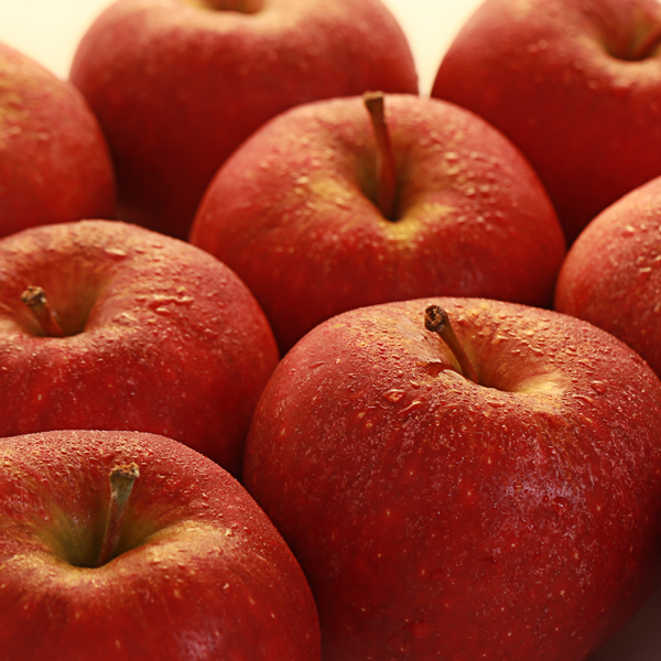  Apfel vom Obsthof Cordes