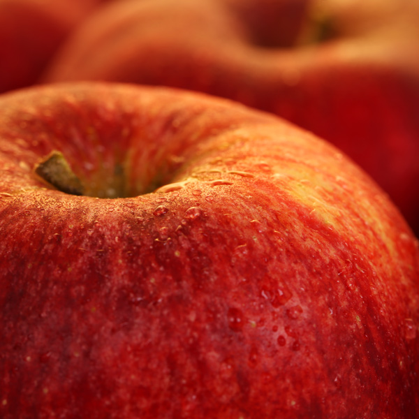 Jonagored Apfel vom Obsthof Cordes