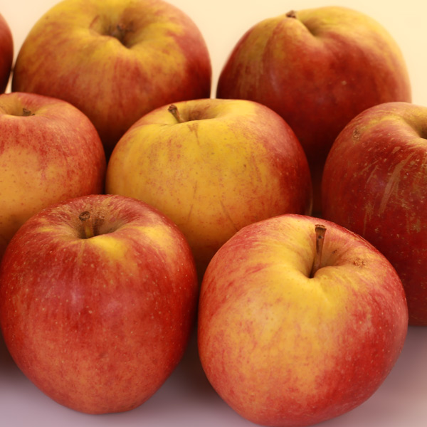 Lavanthaler Bananenapfel vom Obsthof Cordes